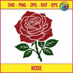 Layered colour image of a red rose in full bloom with curling petals, sitting above a green stem lined with small thorns and three pointed leaves on each side. This rose flower design uses deep red and dark green tones with white outline details separating each petal and leaf layer. The red rose with green stem and leaves is shown as a clean vector cut file, ideal as svg or png clipart, with a minimalist layered style and transparent background.