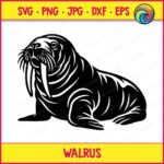 Black silhouette image of a walrus resting on its flippers. This sea animal features prominent details, including a thick body with stylized rolls of skin, long whiskers around the muzzle, and a pair of long, downward-pointing tusks. The walrus with tusks is rendered in a solid black graphic on a transparent background with clean negative space lines highlighting the eyes, snout, and folds of its skin.