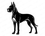 Black silhouette image of a great dane standing in a side profile view. This giant dog breed has a powerful frame, cropped ears pointing upwards, and a sleek body shape. The design features clean cut lines showing muscle detail on a transparent background. This pet dog portrait vector works as an outline, svg, png, or digital cut file clipart for custom projects.
