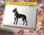 Black silhouette image of a great dane standing in a side profile view. This giant dog breed has a powerful frame, cropped ears pointing upwards, and a sleek body shape. The design features clean cut lines showing muscle detail on a transparent background. This pet dog portrait vector works as an outline, svg, png, or digital cut file clipart for custom projects.