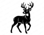 Black silhouette image of a deer shown as a standing woodland deer with its head turned to the side and tall branching antlers rising above. This forest buck with antlers has detailed fur shading along the neck and body, a calm watchful eye, and sturdy legs mid step. The design is a minimalist outline style vector cut file, ideal as svg or png clipart with a transparent background for digital and print use.