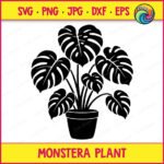 Black silhouette image of a monstera plant growing from a round pot, featuring a tropical leaf houseplant with several large split leaves branching out in different directions. This potted swiss cheese plant design has thick stems, deeply cut leaf edges, and a full layered look. The digital clipart is a minimalist vector outline style cut file, shown as a transparent background svg png suitable for cutting or printing.