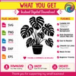 Black silhouette image of a monstera plant growing from a round pot, featuring a tropical leaf houseplant with several large split leaves branching out in different directions. This potted swiss cheese plant design has thick stems, deeply cut leaf edges, and a full layered look. The digital clipart is a minimalist vector outline style cut file, shown as a transparent background svg png suitable for cutting or printing.