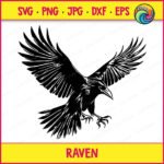 Black silhouette image of a raven svg shown in dramatic flight with wings spread wide, sharp feather details, and extended talons reaching downward. This black crow svg design captures the bird mid swoop with a fierce head turn. Perfect as a gothic bird clipart in digital, minimalist, vector, outline, or cut file format for transparent background projects.