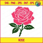 Layered colour image of a pink rose with green stem. The flower head is a large, fully open pink rose with white outlines tracing the edges of its layers and petals. Beneath the rose, a dark green stem extends downward, featuring small thorns and three dark green leaves with white vein details. This minimalist graphic vector is presented as a clean digital clipart file on a transparent background.