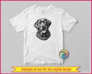 Black silhouette image of a labrador in a calm pose with floppy ears, a short coat and an alert friendly face. This labrador retriever design works as a pet dog portrait in svg and png format, shown as a clean outline vector perfect for a digital clipart cut file with a transparent background.