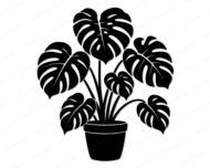 Black silhouette image of a monstera plant growing from a round pot, featuring a tropical leaf houseplant with several large split leaves branching out in different directions. This potted swiss cheese plant design has thick stems, deeply cut leaf edges, and a full layered look. The digital clipart is a minimalist vector outline style cut file, shown as a transparent background svg png suitable for cutting or printing.