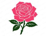 Layered colour image of a pink rose with green stem. The flower head is a large, fully open pink rose with white outlines tracing the edges of its layers and petals. Beneath the rose, a dark green stem extends downward, featuring small thorns and three dark green leaves with white vein details. This minimalist graphic vector is presented as a clean digital clipart file on a transparent background.