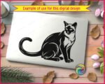 Black silhouette image of a siamese cat sitting with its tail curled around its body, ears pointed and alert, and detailed facial markings typical of a seal point siamese kitty. This pet cat portrait is shown as a minimalist outline vector cut file, perfect as svg png clipart with a transparent background, ideal for digital projects, printing, or cutting machines.